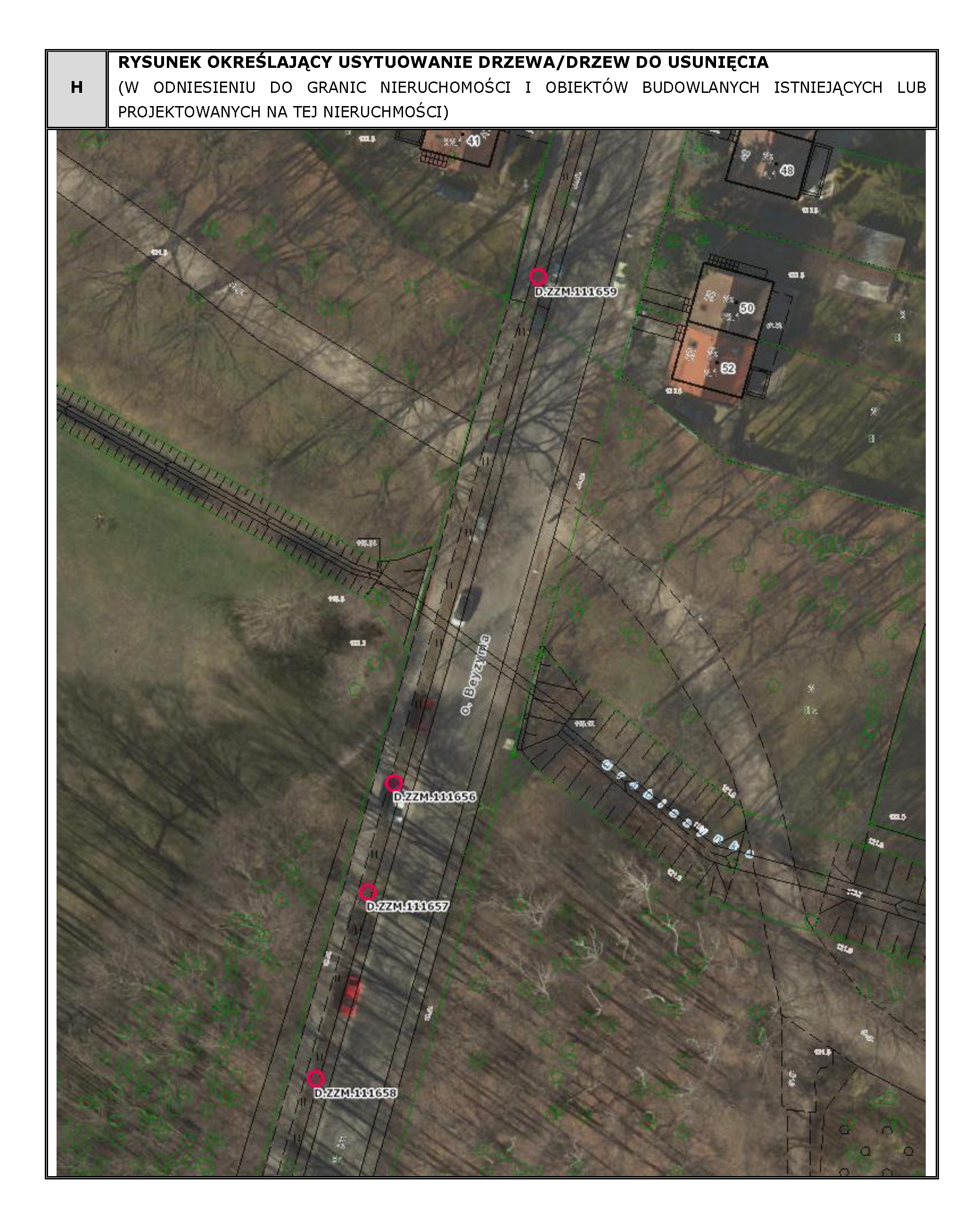 44. Zdjęcia mapa Ojca Beyzyma