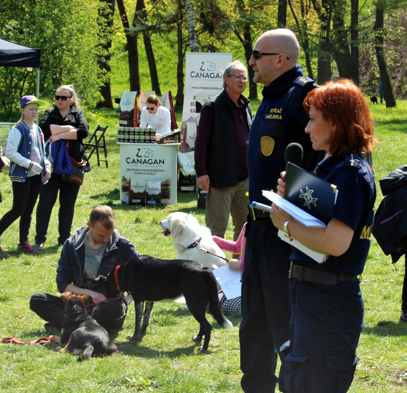 Wrocławianie-i-4-łapy-na-polanie-psi-piknik-w-Parku-Grabiszyńskim-2.jpg