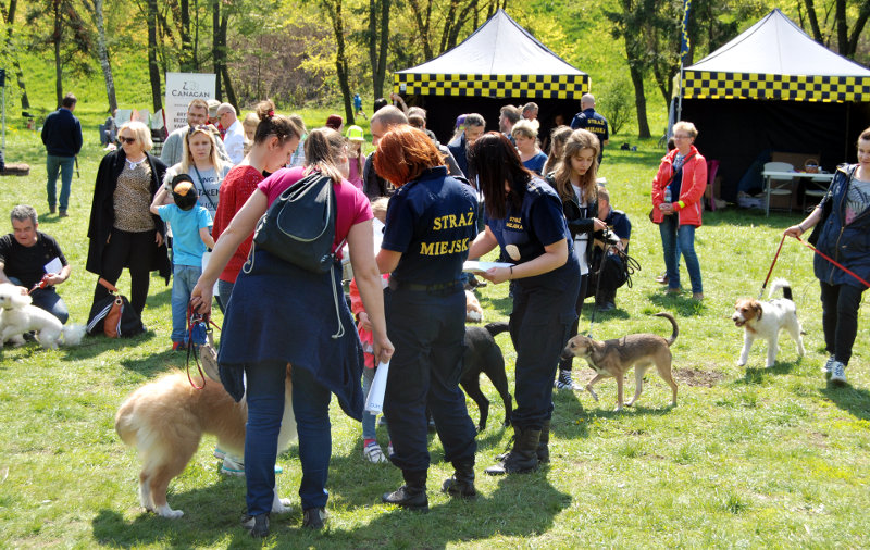 Wrocławianie-i-4-łapy-na-polanie-psi-piknik-w-Parku-Grabiszyńskim-7.jpg