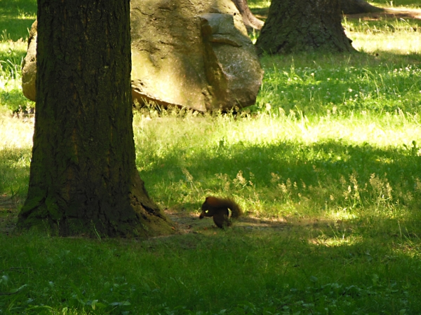 beznazwy