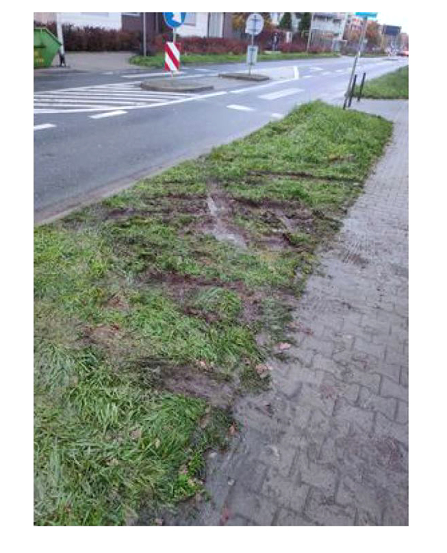 foto hallera parkowaniem