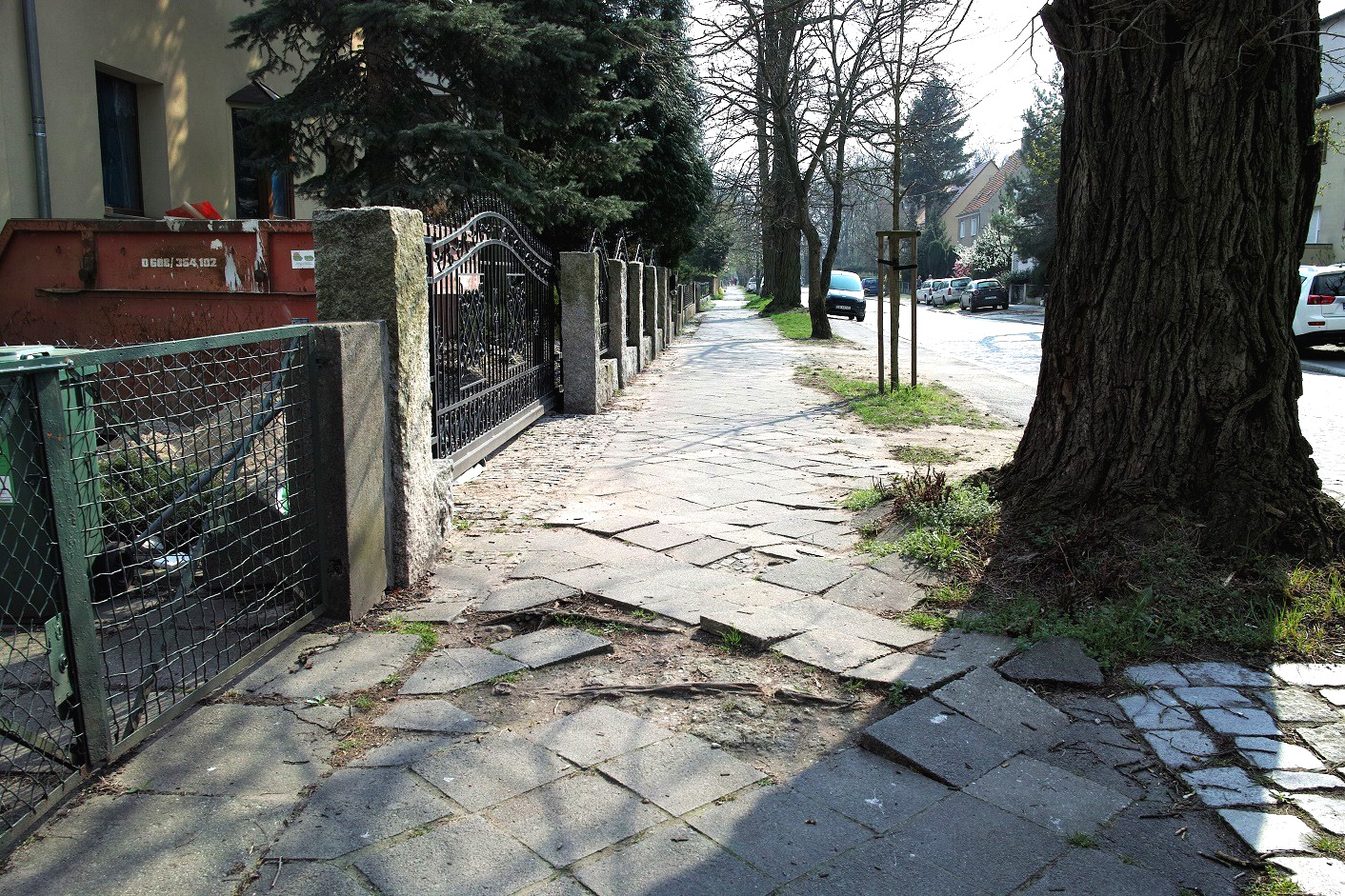 nasadzenia odkrywców 2