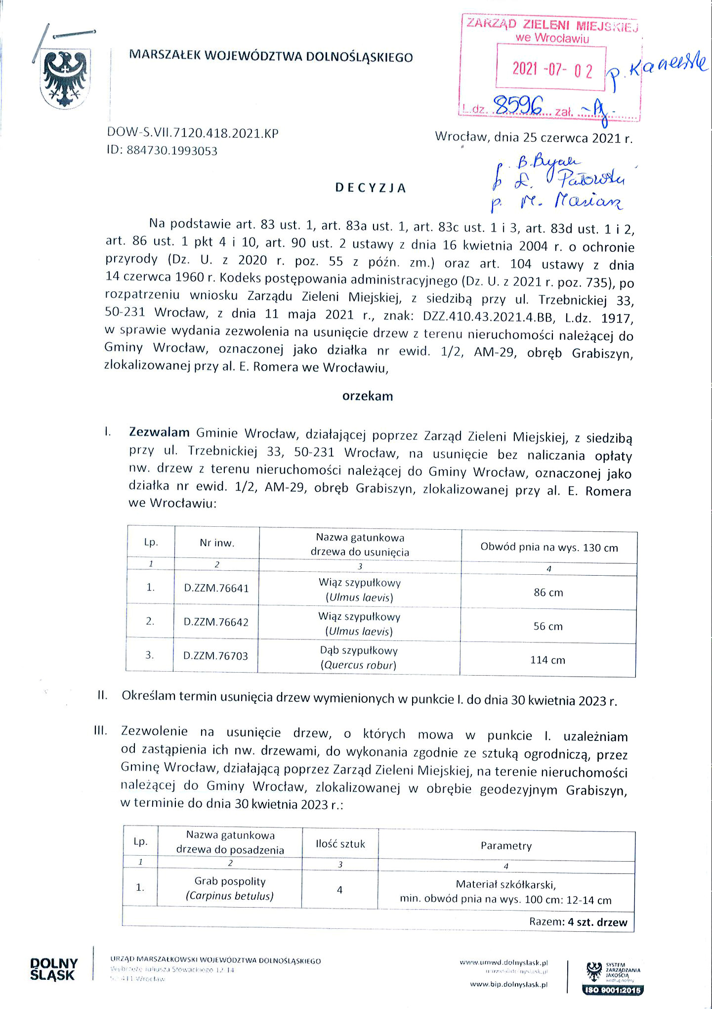 wycinka romera pionierskiej 5