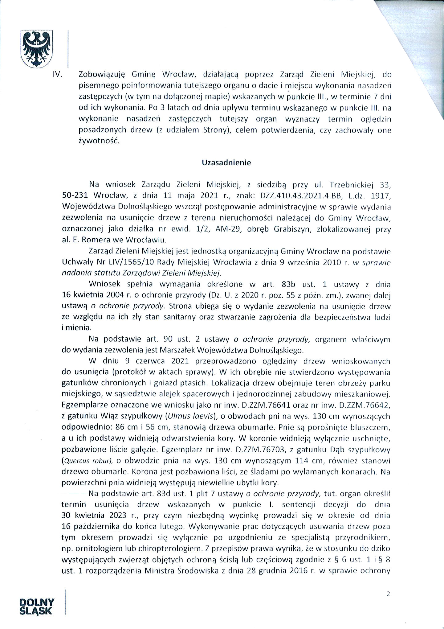 wycinka romera pionierskiej 6