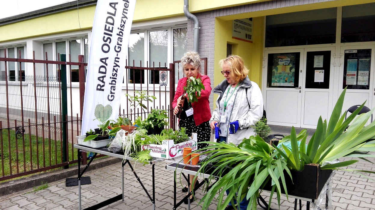 wymiana rosłin 2