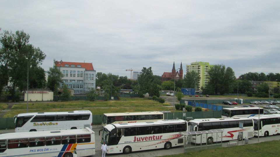 2015 06 wycinka drzew Petrusewicza Slezna 2