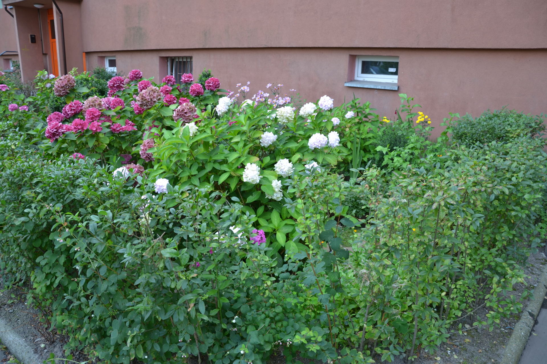 2016 08 UkwiecamyWr Hubska 3
