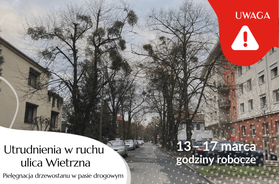 Pielęgnacja drzewostanu ul. Wietrzna