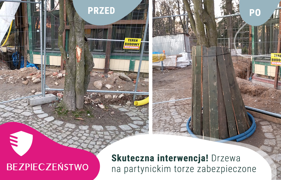 zabezpieczenie drzew