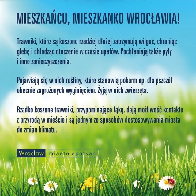 kwietne łąki