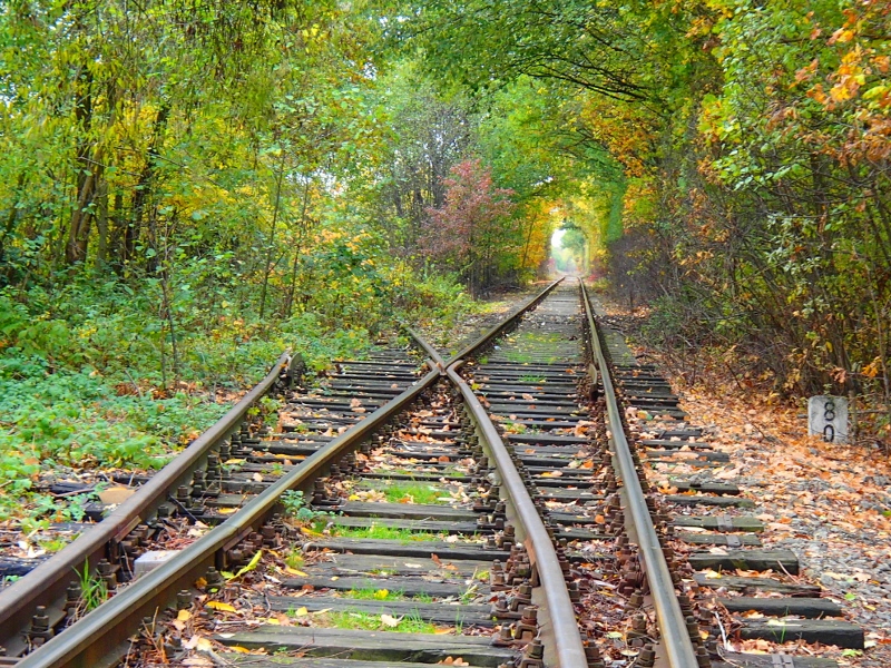 PA220419 800x600