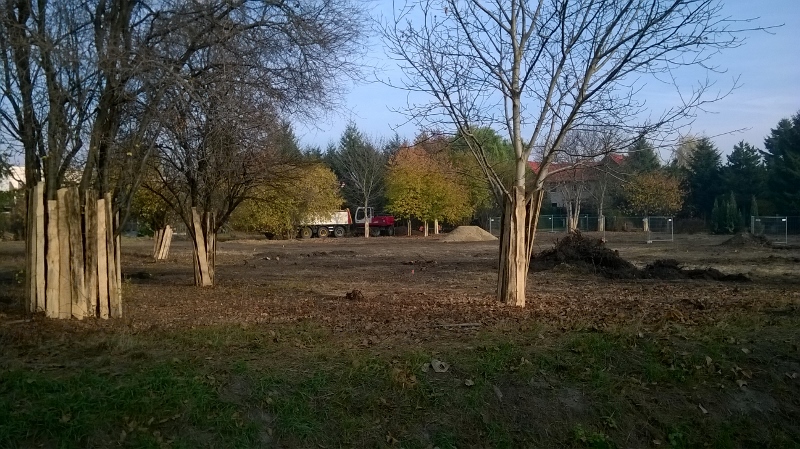 WP 20151106 004 800x449