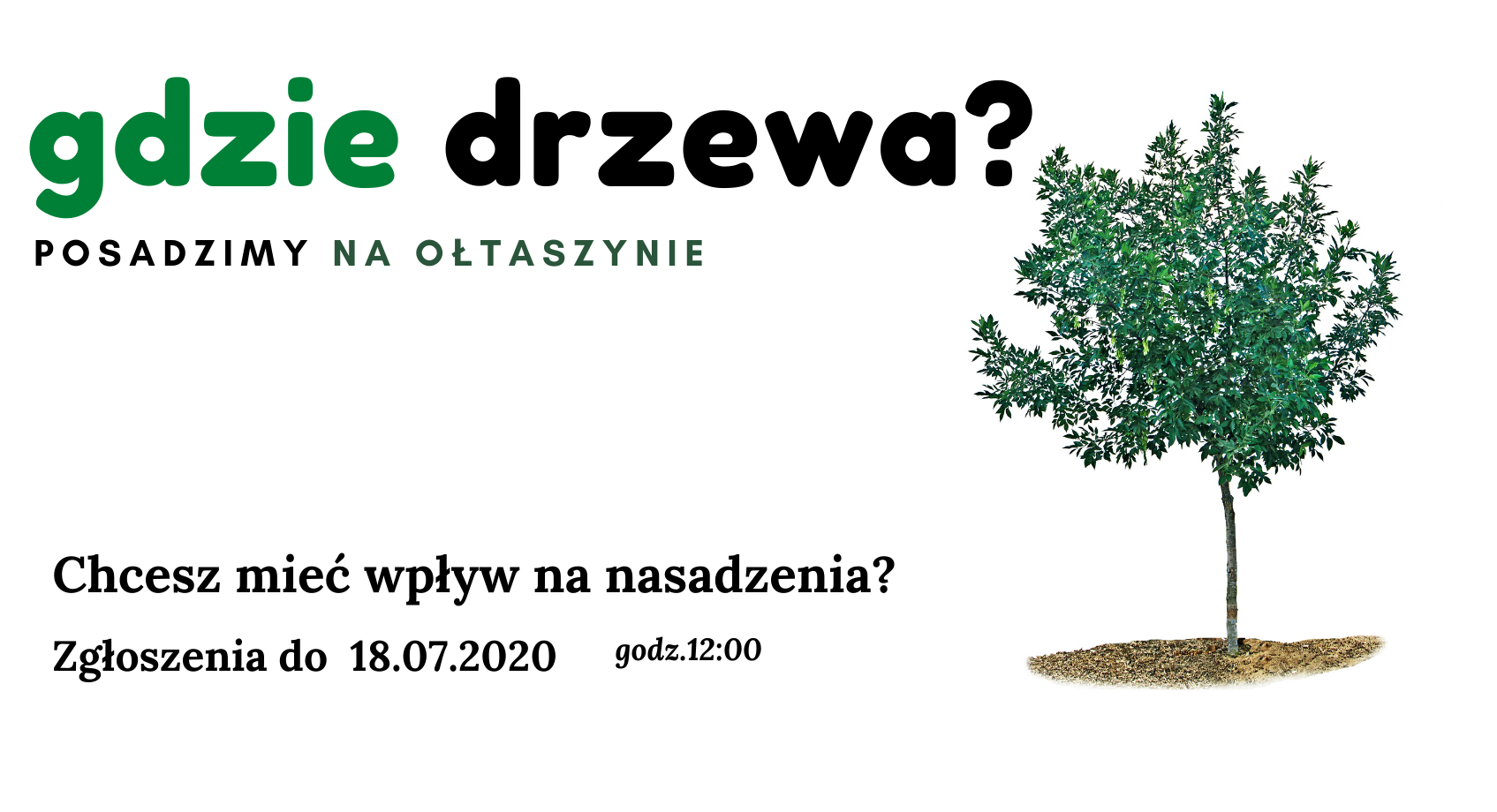 Posadzimy na ołtaszynie1