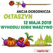 wyhoduj sobie warzywo