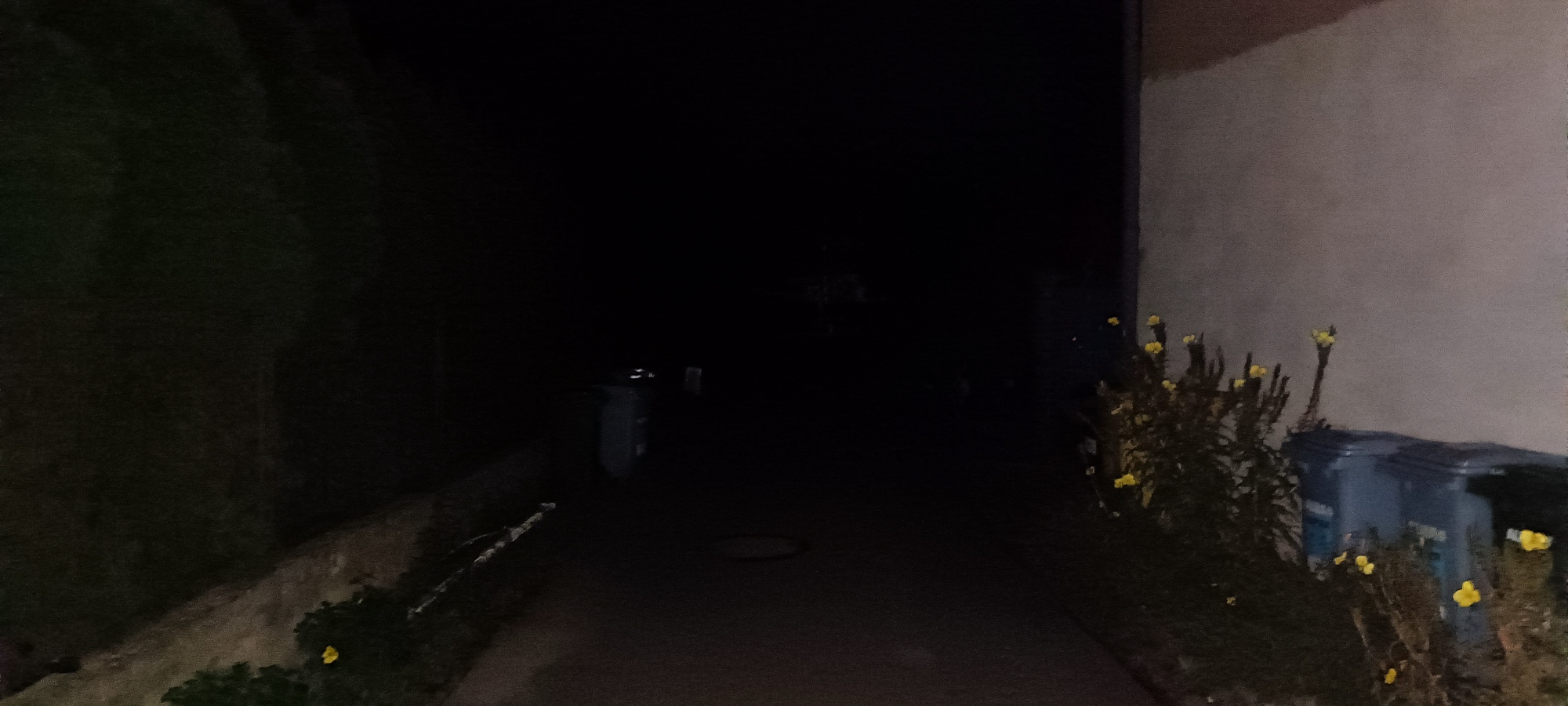 Inspektowa