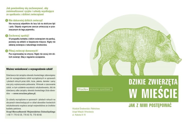 dziki_zwierz_jpg-1.jpg