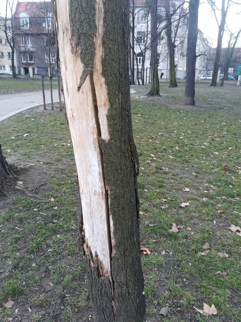 pęknięte