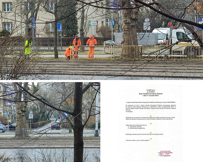 Niebieski i Żółty Pies Tresowanie Pupil Fotograficzny Kolaż