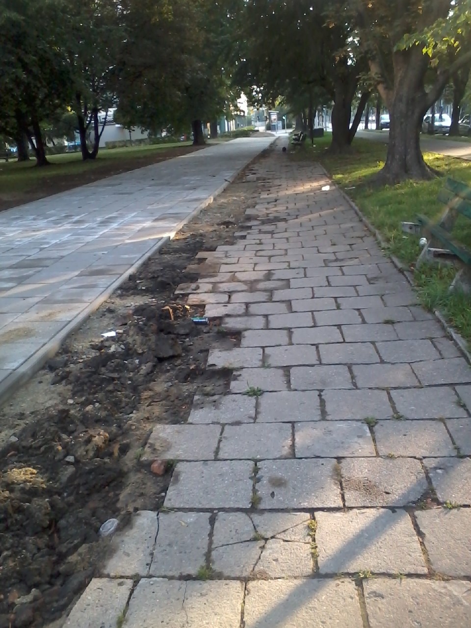 Zdjęcie0010