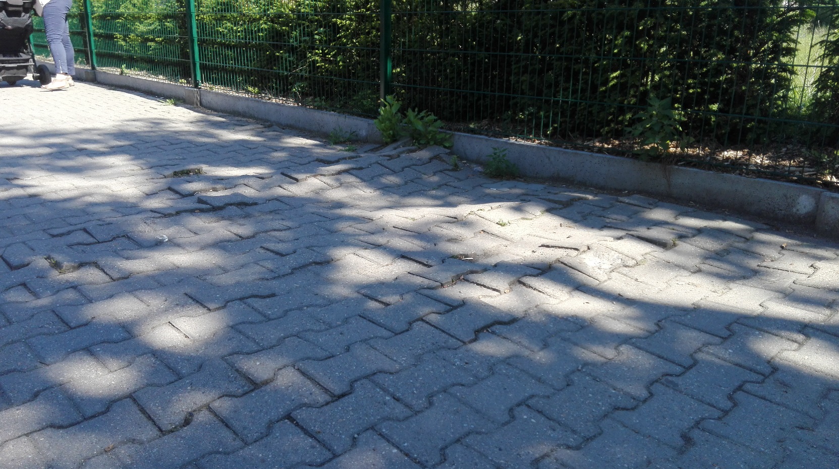 chodnik wandy 1
