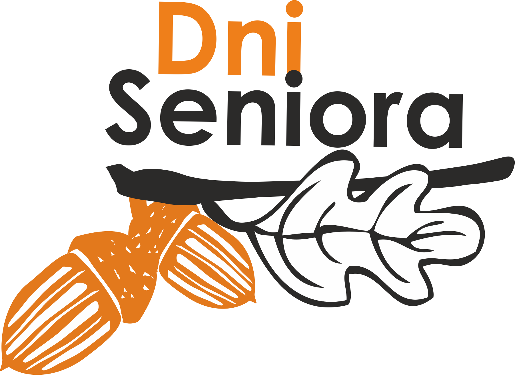 ds logo
