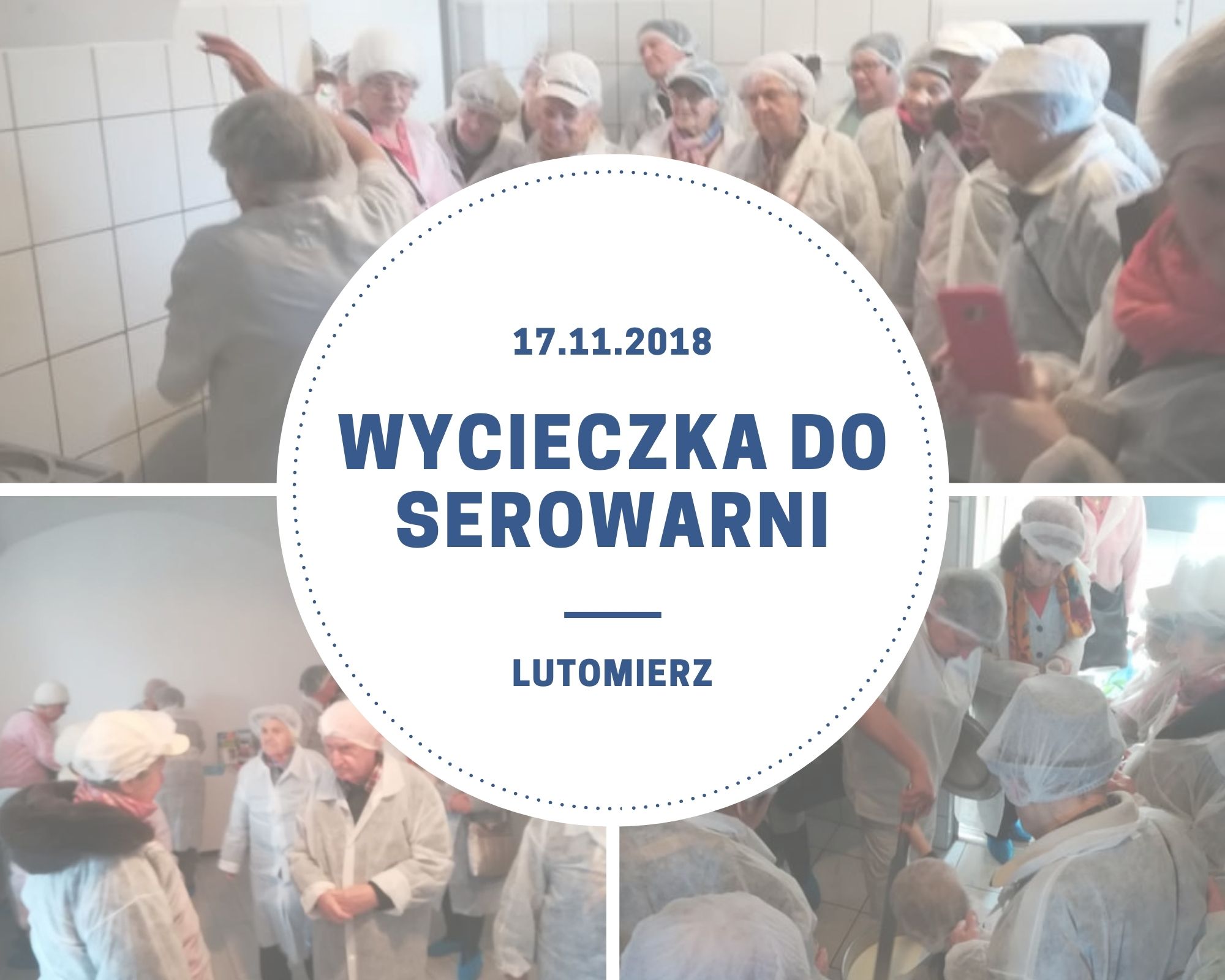 Niebieski i Żółty Pies Tresowanie Pupil Fotograficzny Kolaż 1
