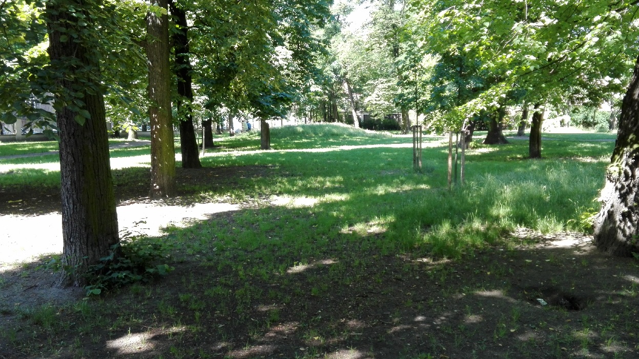 park12