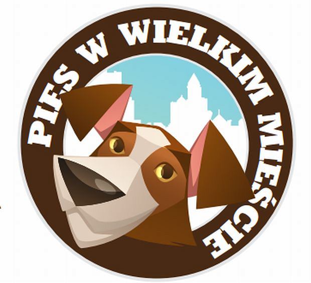 Pies w wielkim miescie
