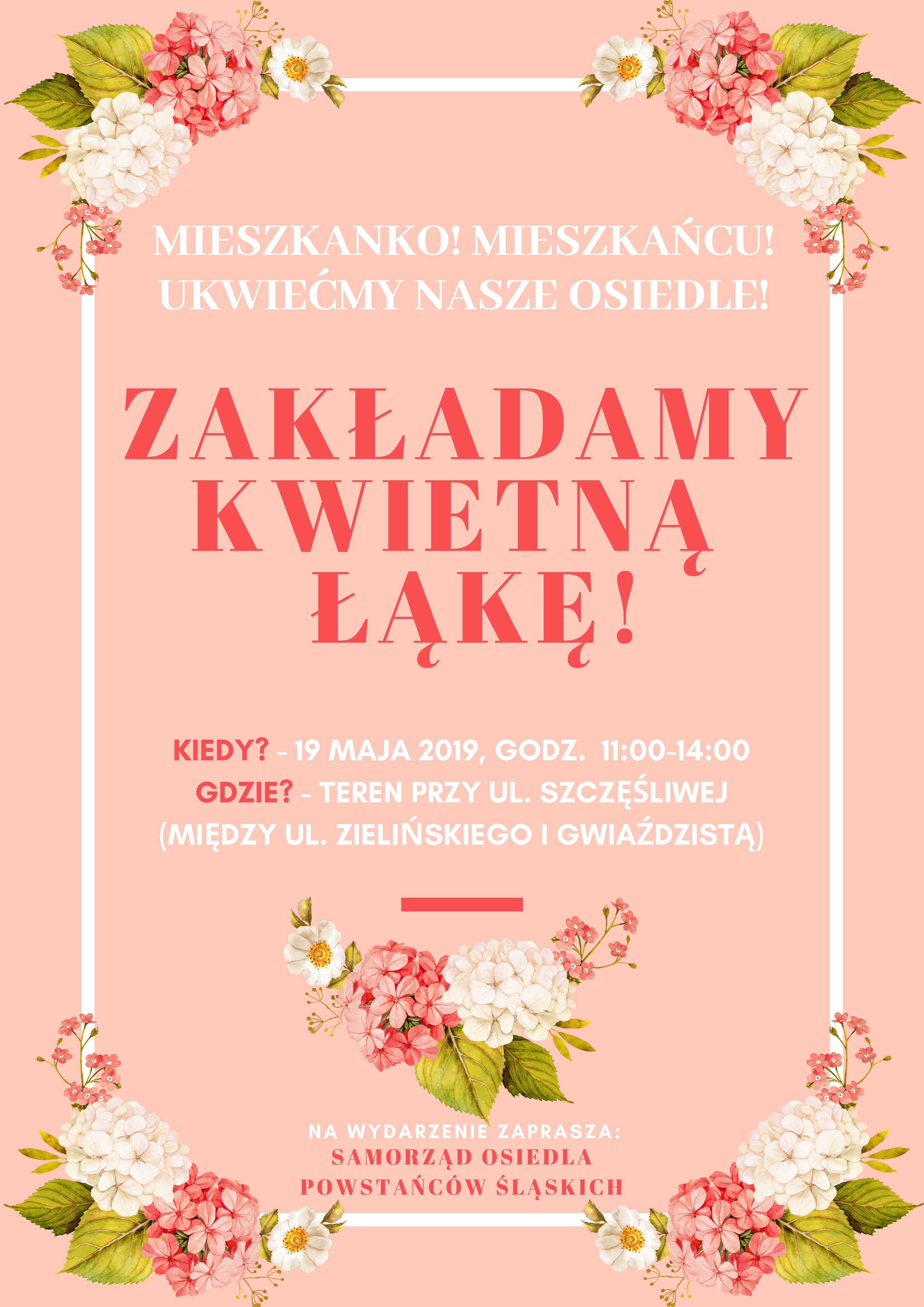 łąka 19.05.2019 1 1