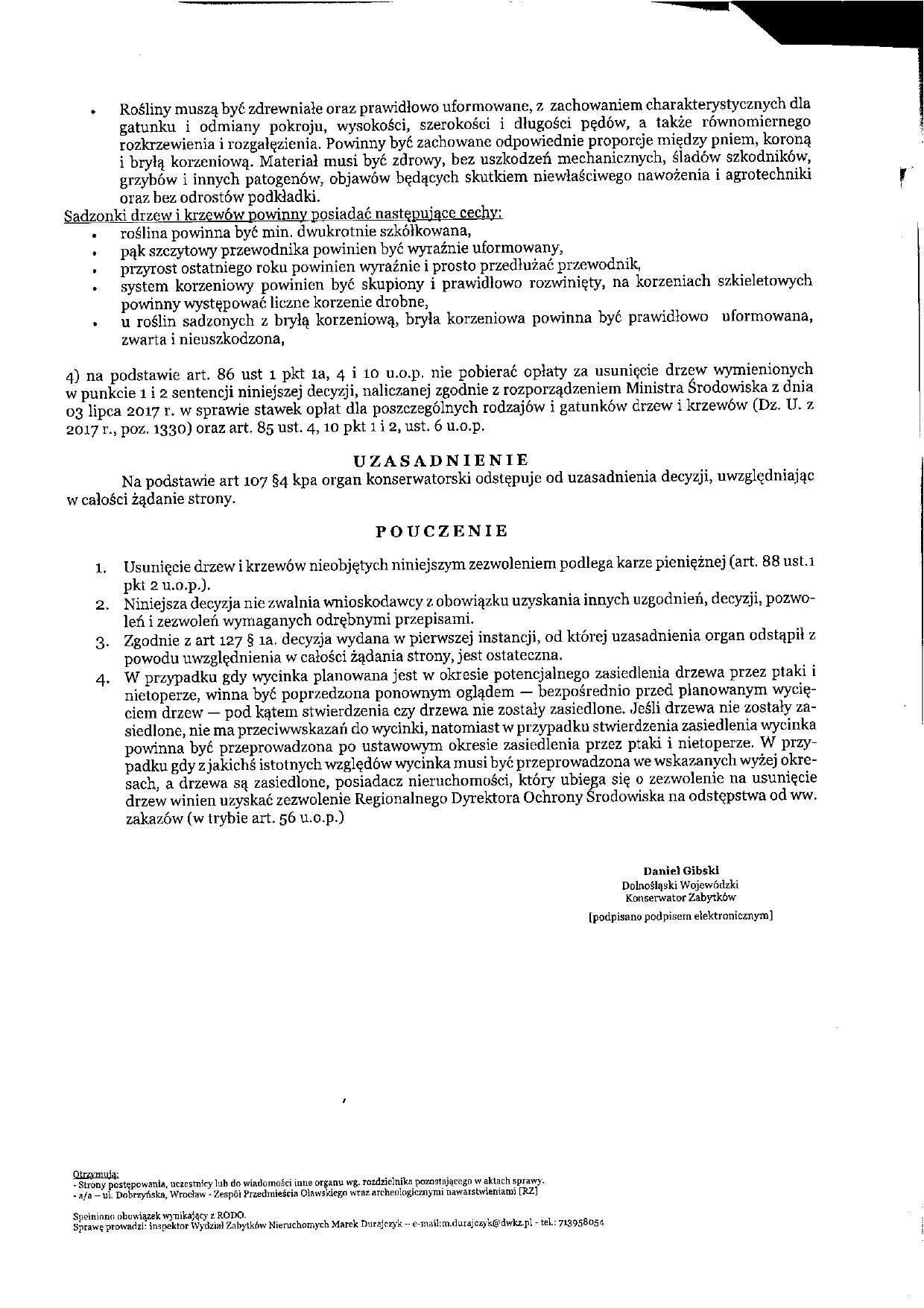 wycinka drzew 2 dobrzyńska II