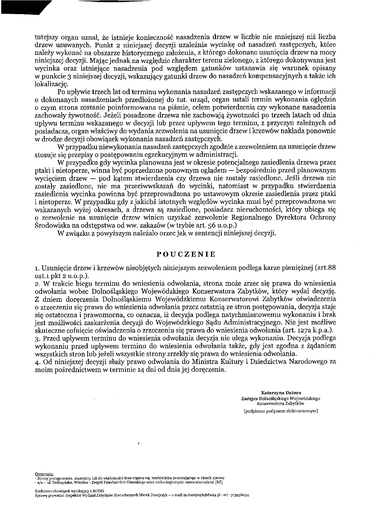 wycinka drzew 3 dobrzyńska III