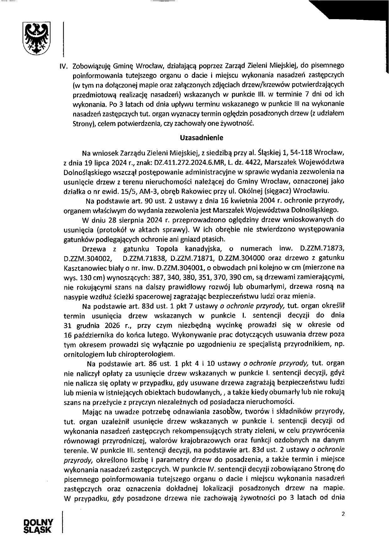 wycinka drzew okólna II