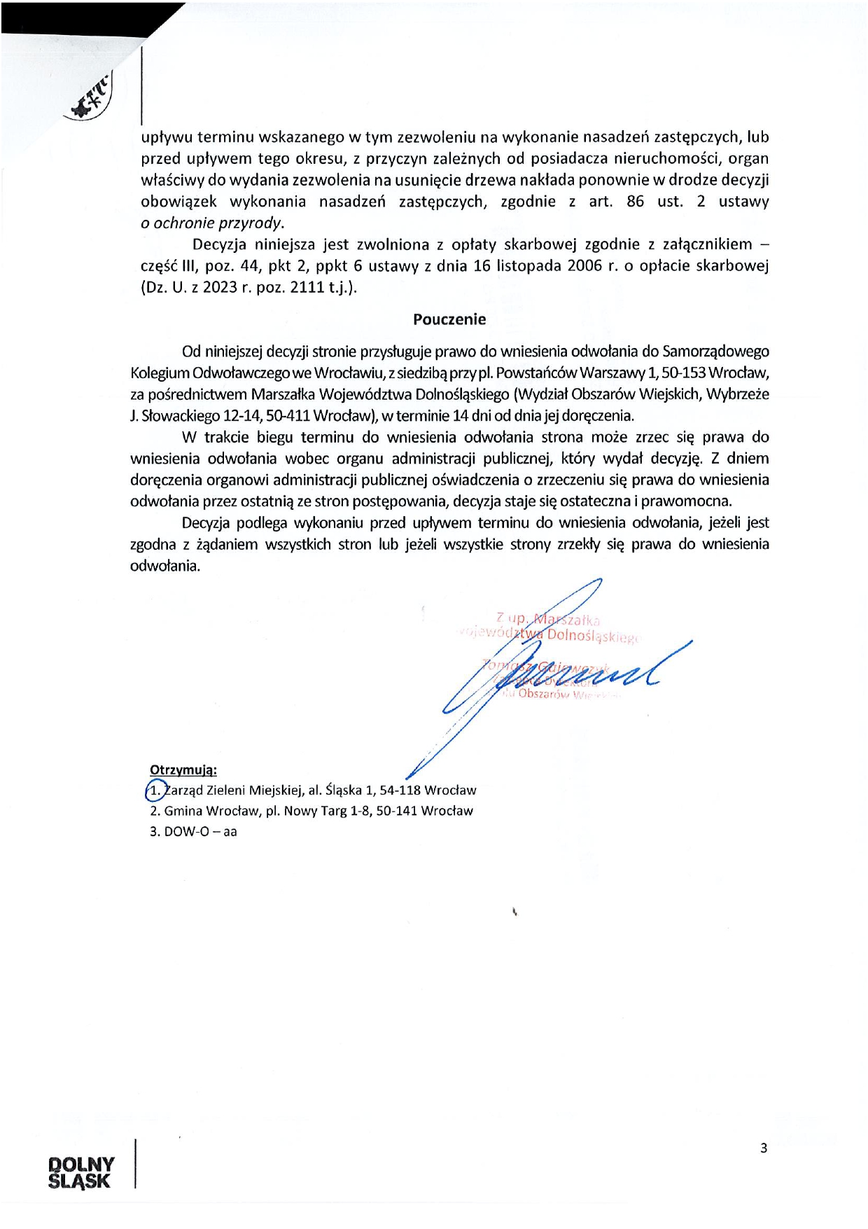 wycinka drzew okólna III