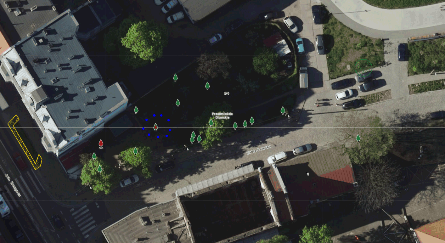 zdjecie_drzewa_01.gif