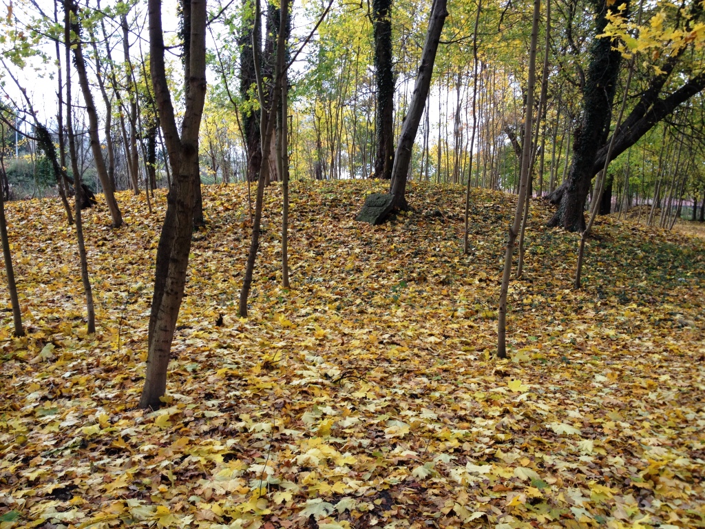 PARK 0879