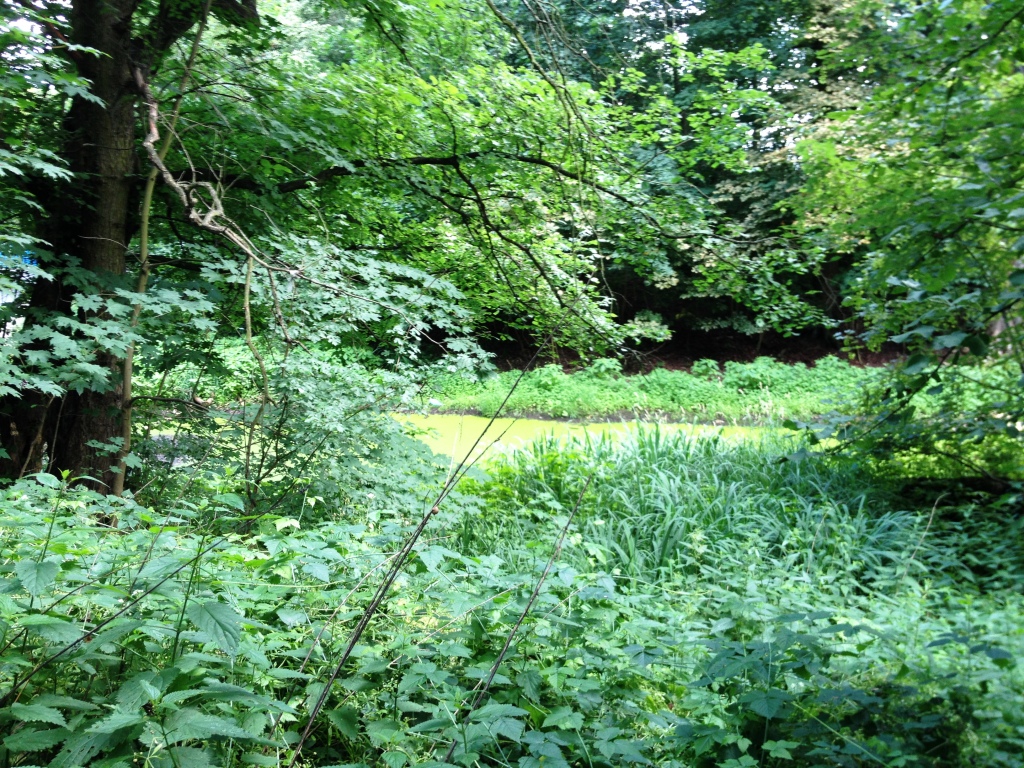 Młynówka