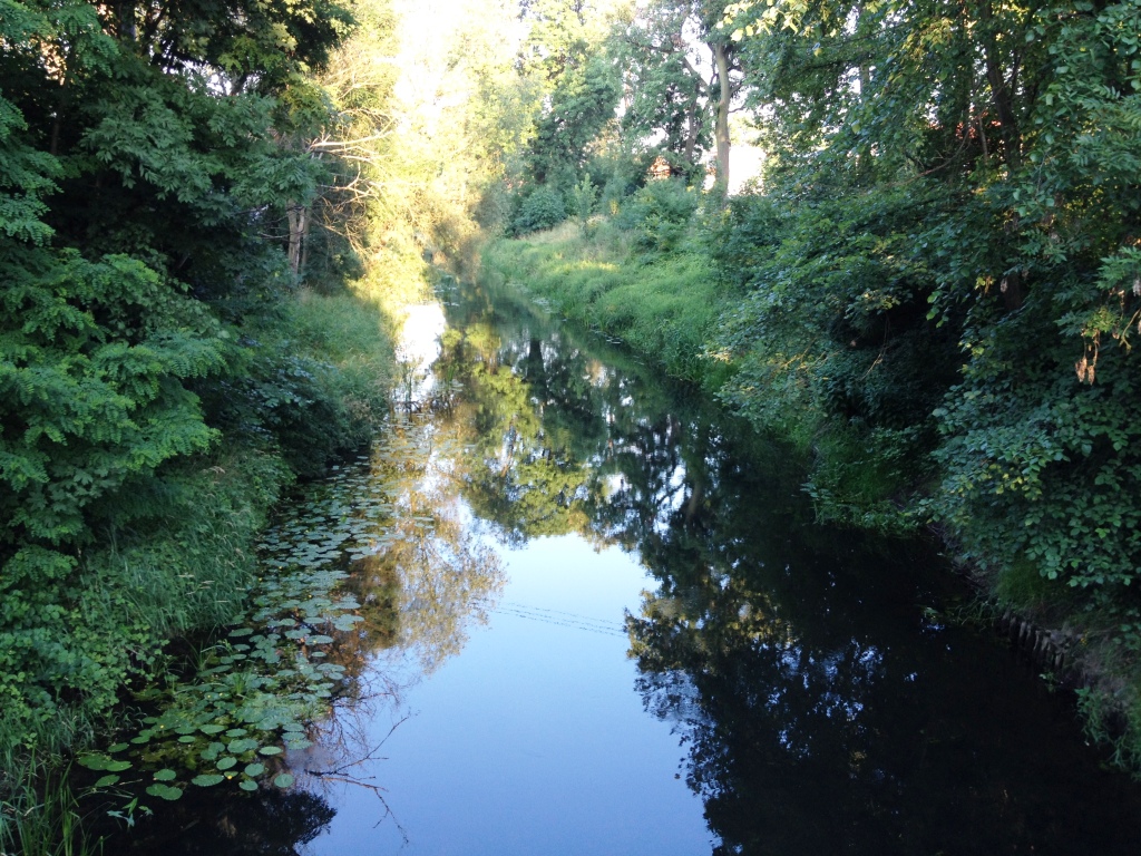 Rzeka Widawa