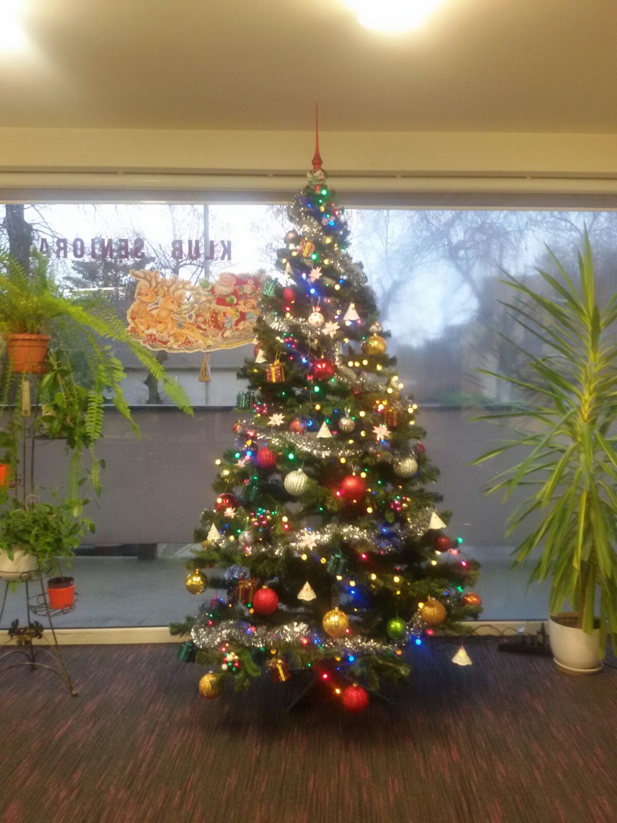 2017 12 13 PHOTO 00000021