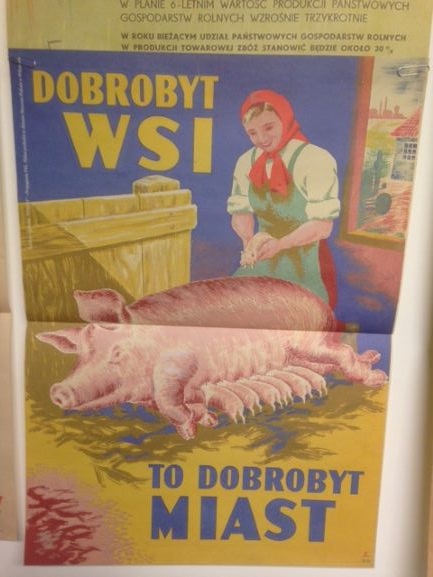 IMG 6296.JPG wyst 3.jpg obrot