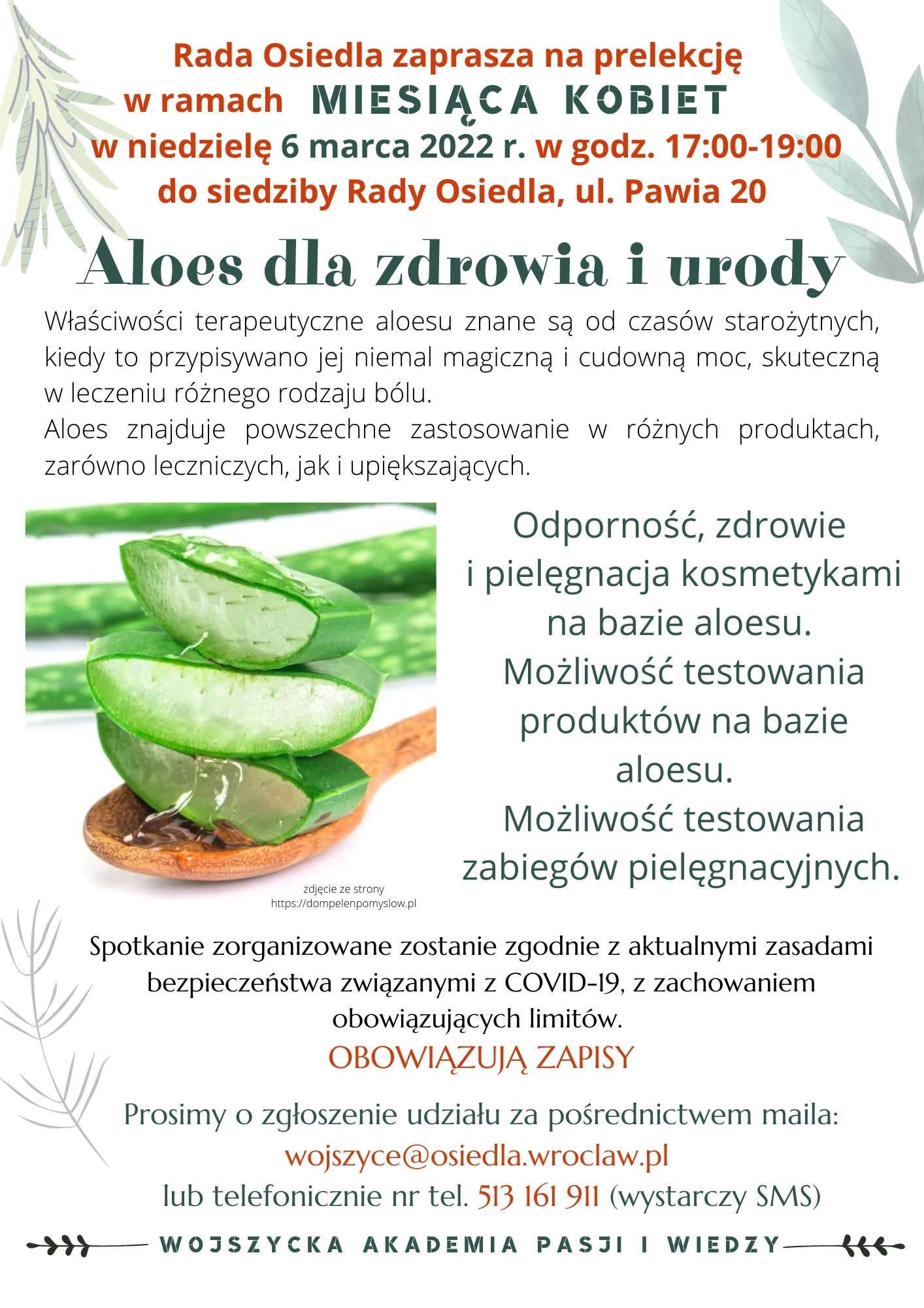 aloes.jpg
