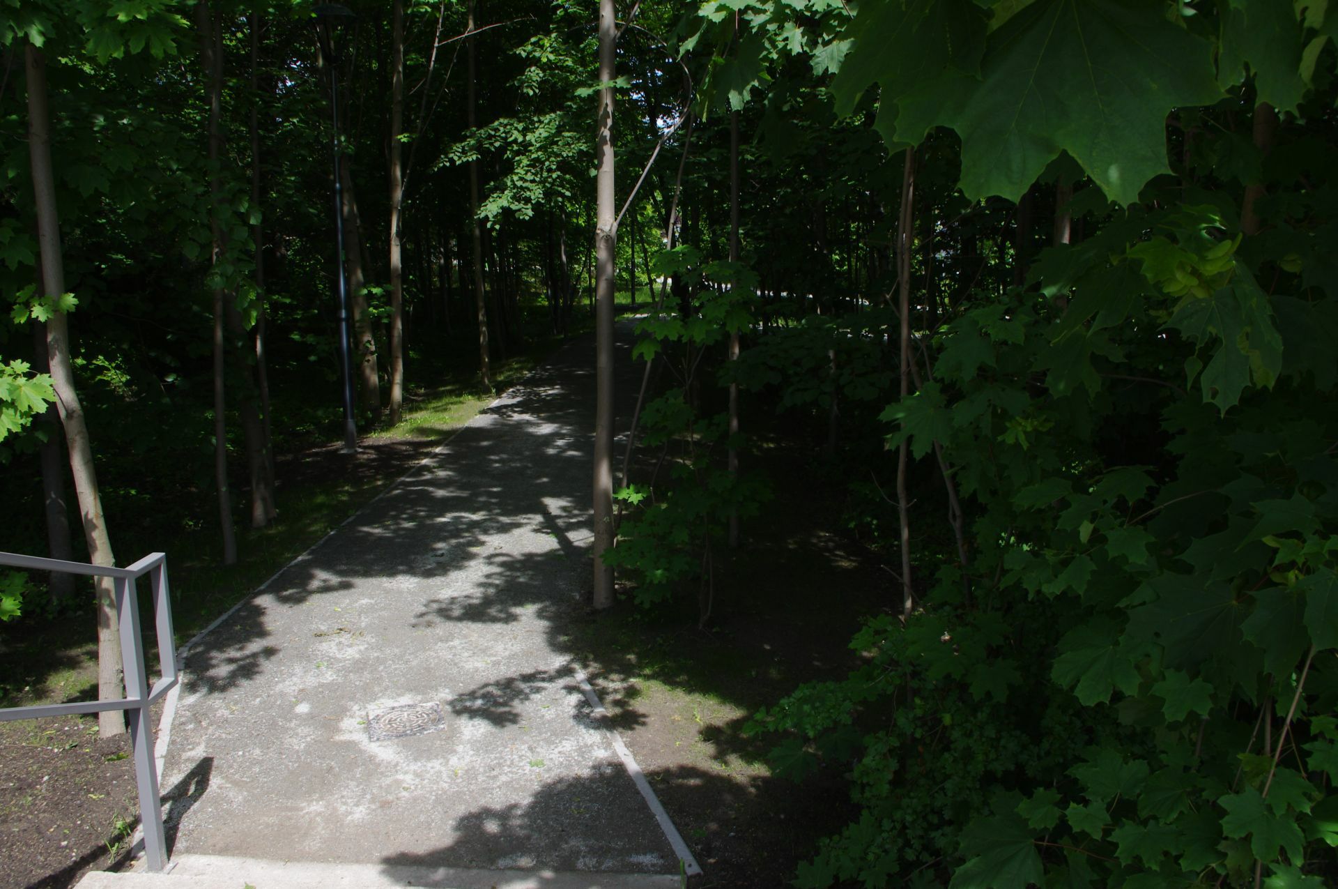 Park r 7
