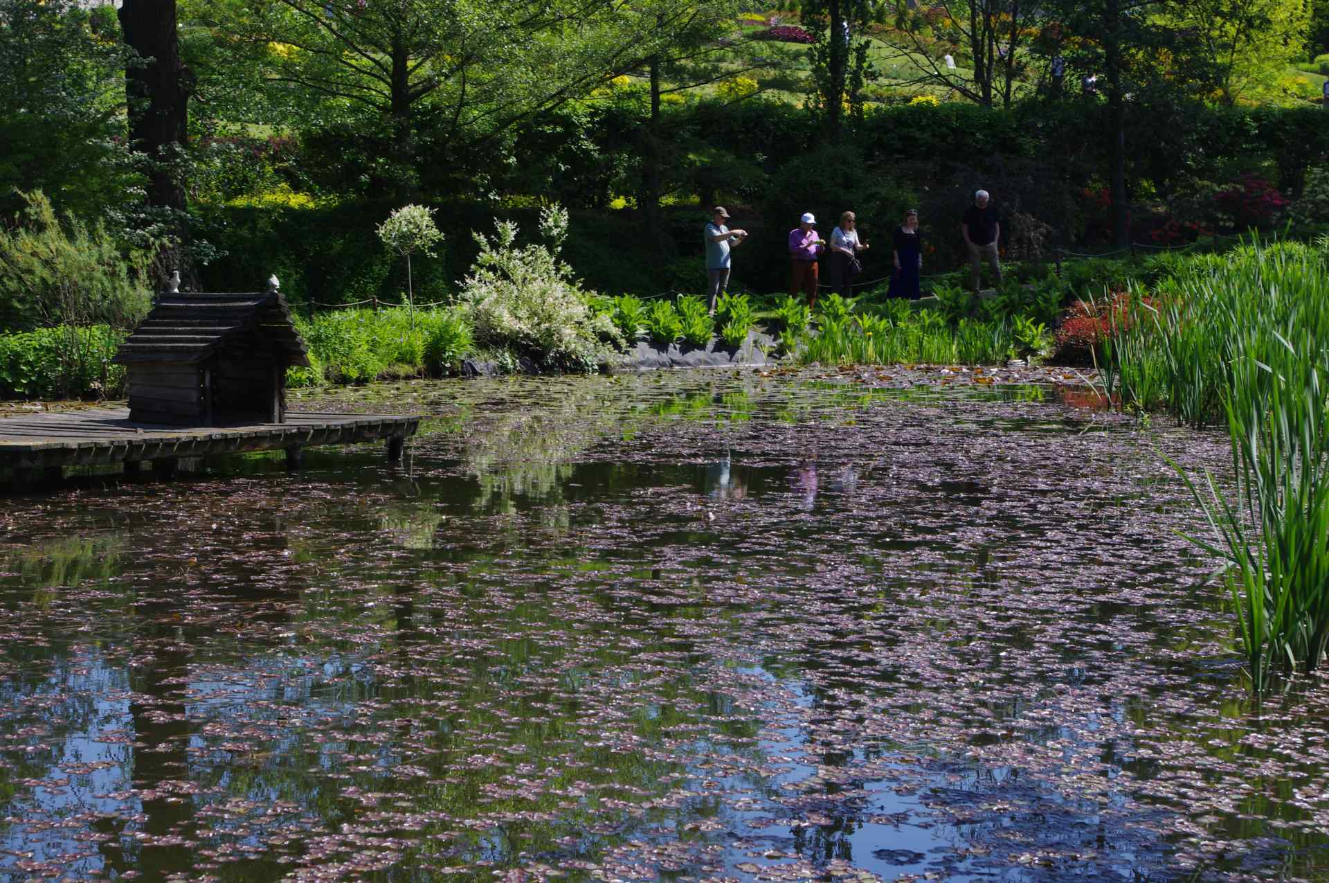 SFW 2019 arboretum 3