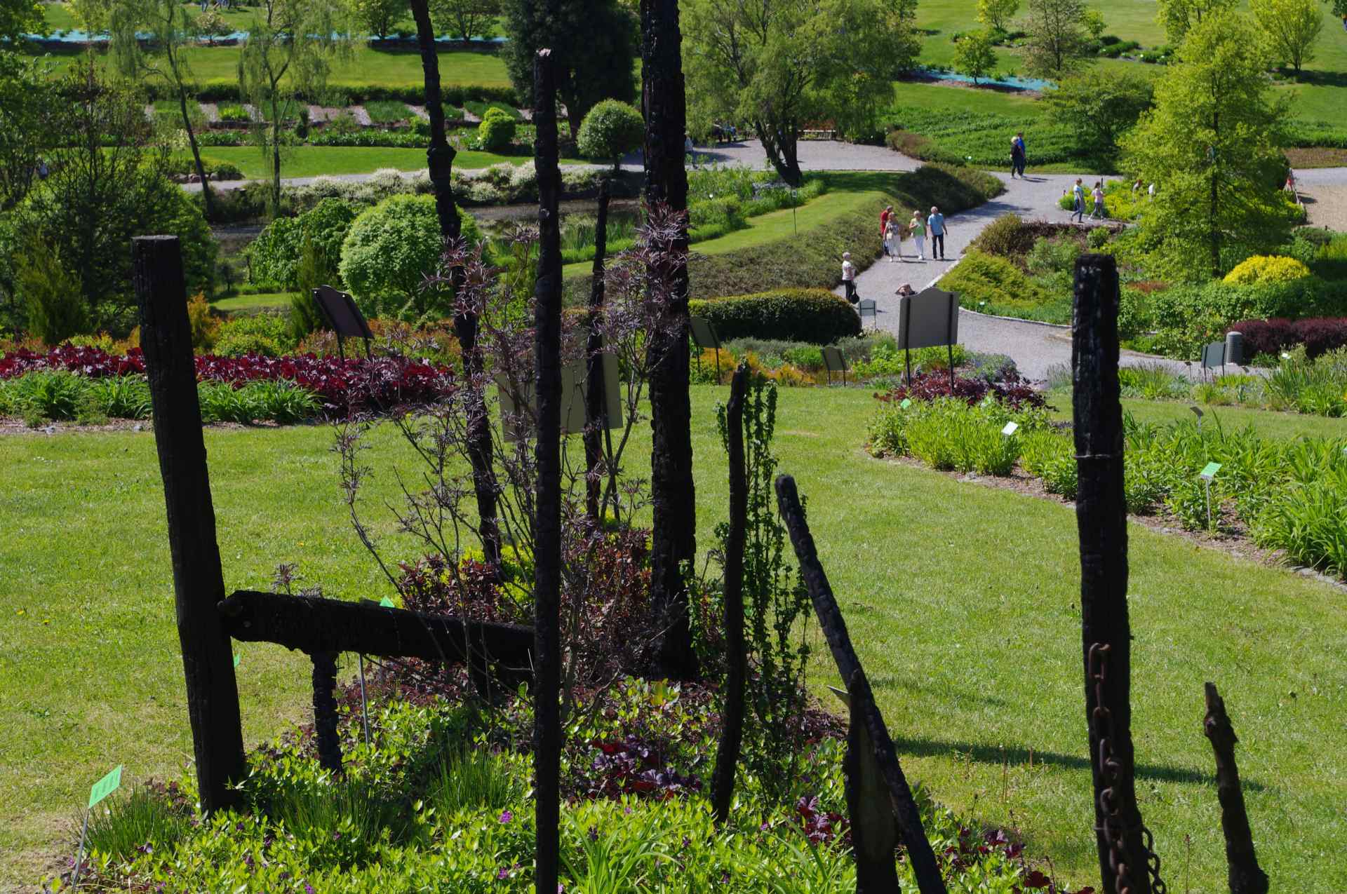 SFW 2019 arboretum 5