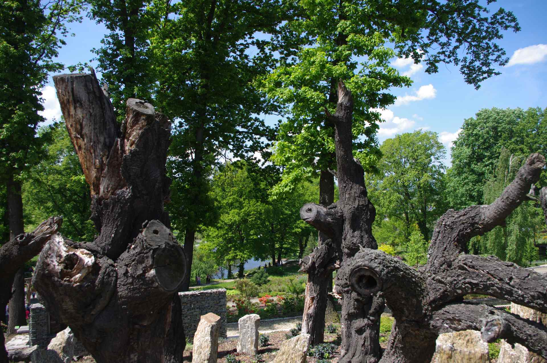 SFW 2019 arboretum 7