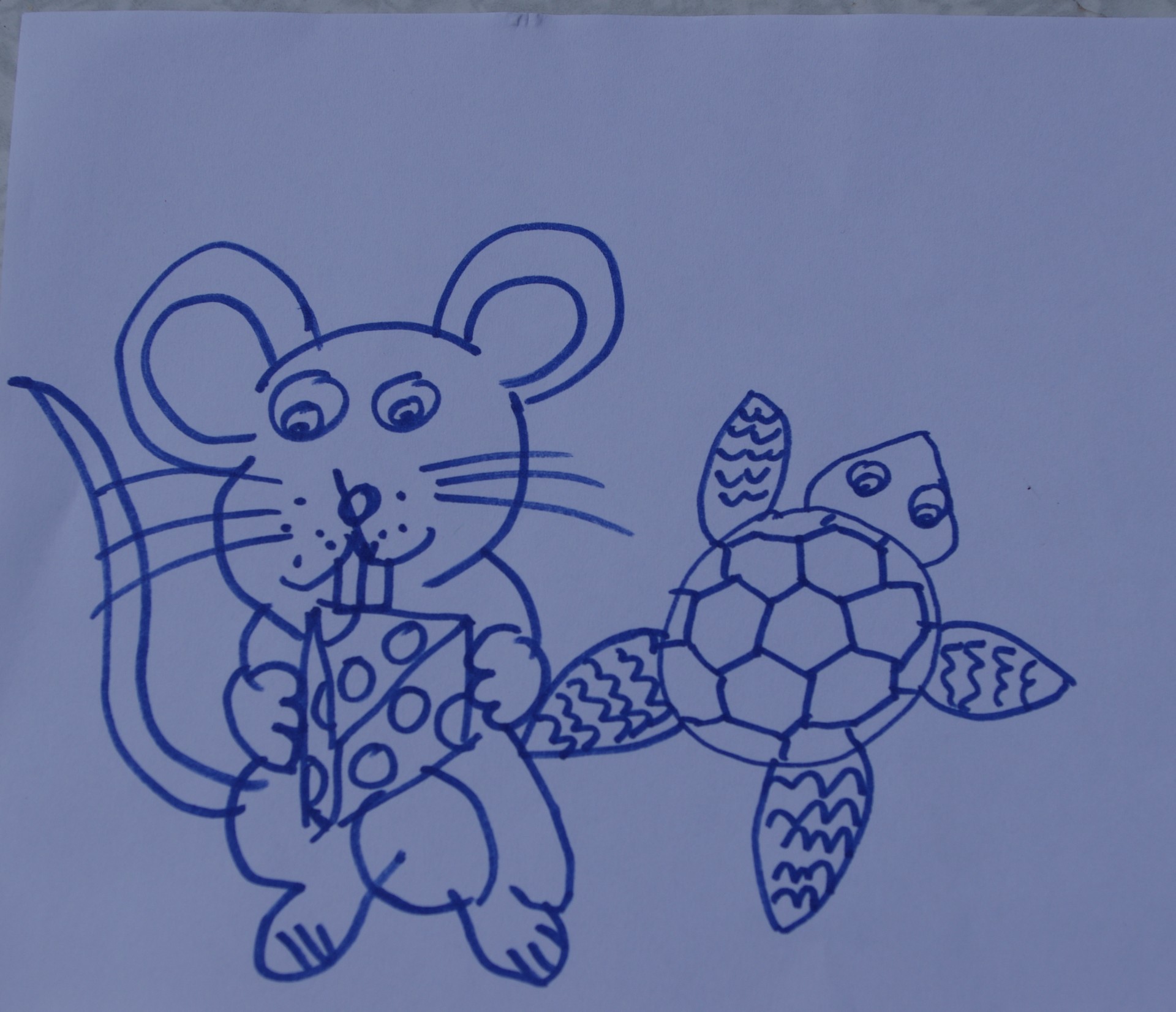 9 projekt ilustracji