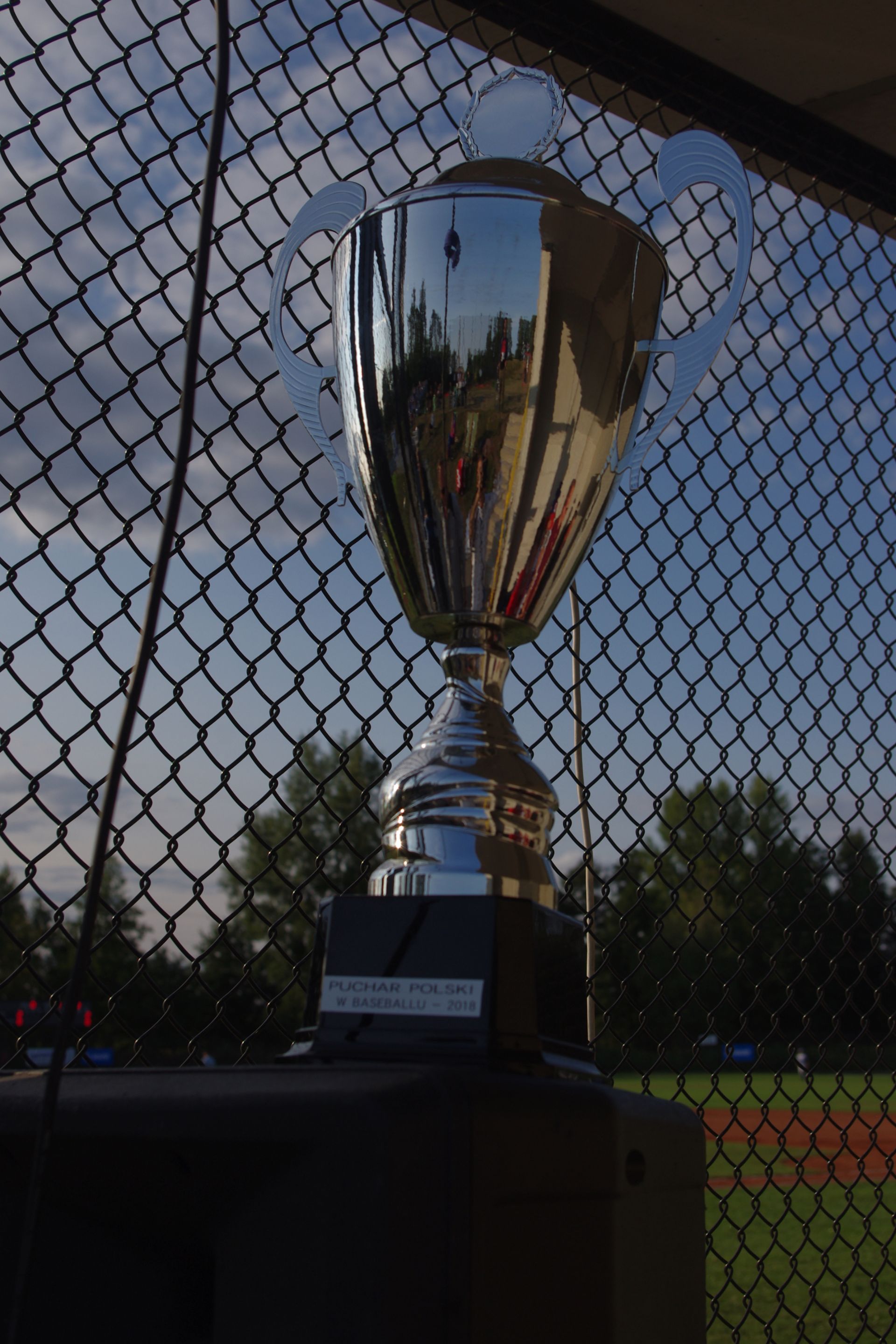 PP baseball 9
