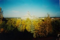 1999 Lichen